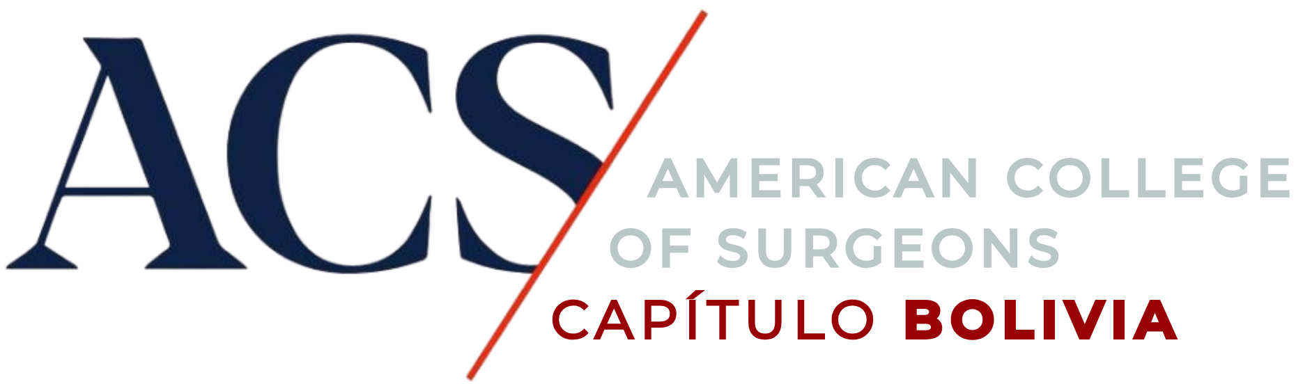 ACS Capítulo Bolivia